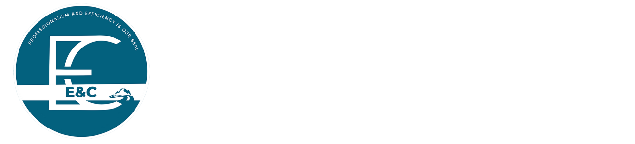 E&C International